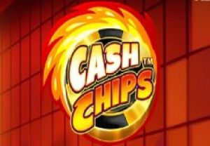 General information about Cash Chips slot