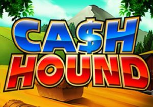 General information about Cash Hound slot