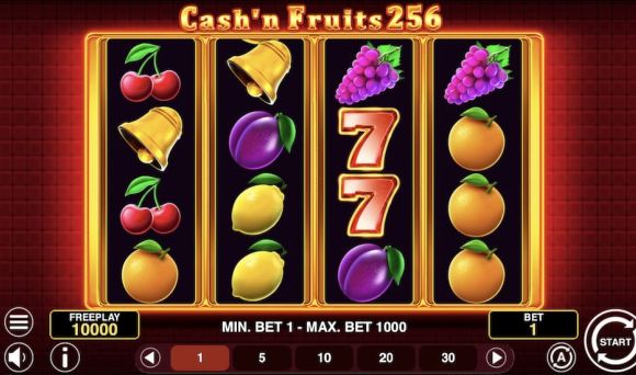 Cash'n Fruits 256