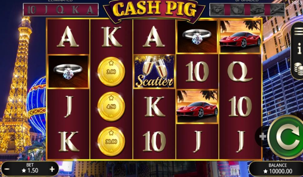 Cash Pig