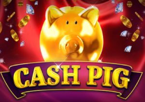 General information about Cash Pig slot