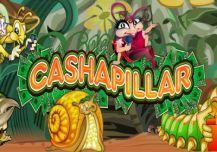 Cashapillar