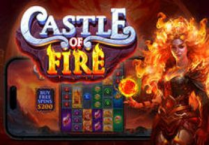 General information about Castle of Fire slot