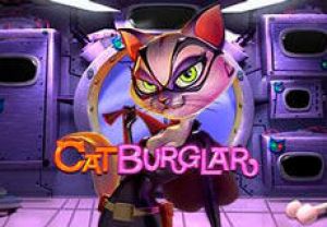 General information about Cat Burglar slot