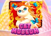 Cat Museum