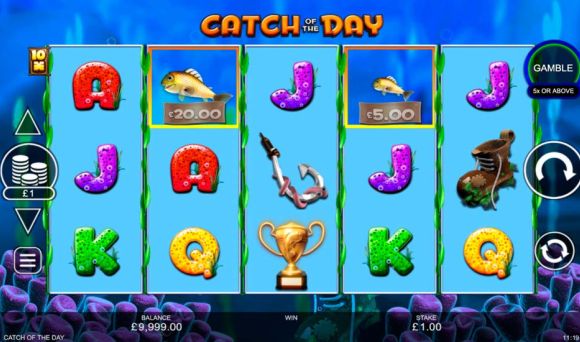 Catch of the Day 