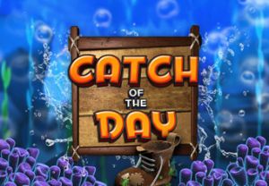 General information about Catch of the Day slot