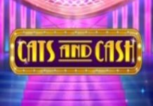 Cats and Cash