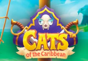 General information about Cats of the Caribbean slot