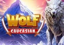 Caucasian Wolf