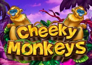 General information about Cheeky Monkeys slot