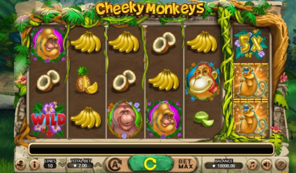 Cheeky Monkeys
