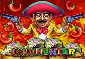 General information about Chilli Hunter slot