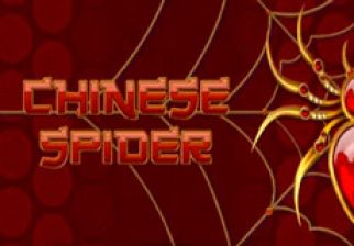 Chinese Spider logo
