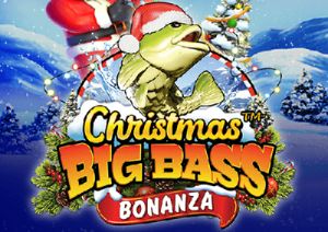 General information about Christmas Big Bass Bonanza™ slot