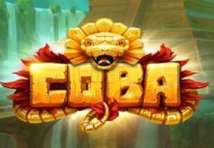 General information about Coba slot