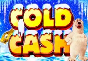 General information about Cold Cash slot