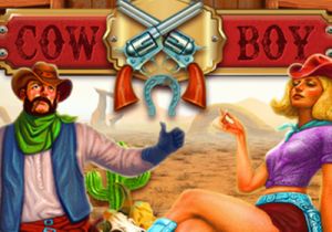 General information about Cowboy slot