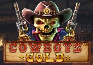 General information about Cowboys Gold slot