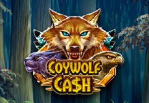 General information about Coywolf Cash slot