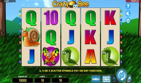 Crazy Bee