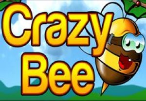 General information about Crazy Bee slot