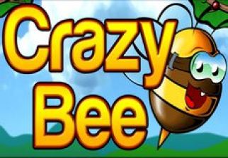 Crazy Bee logo