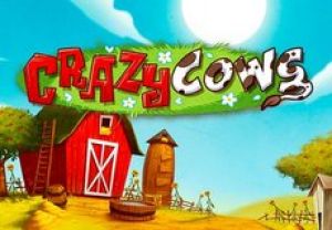 General information about Crazy Cows slot