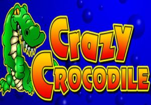 General information about Crazy Crocodile slot