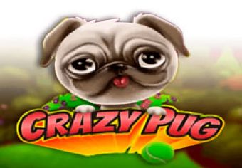 Crazy Pug logo