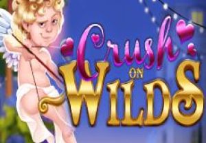 General information about Crush on Wilds slot