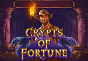 General information about Crypts of Fortune slot