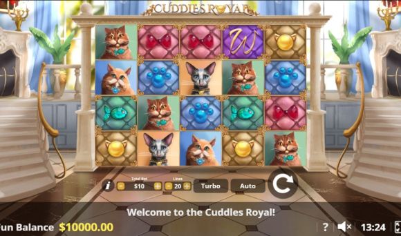 Cuddles Royal