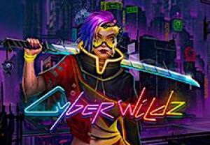 General information about Cyber Wildz slot