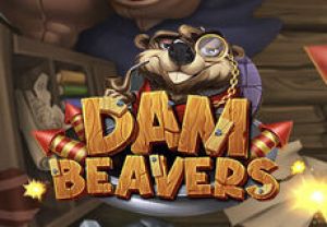 General information about Dam Beavers slot