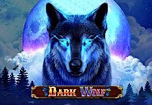 General information about Dark Wolf slot