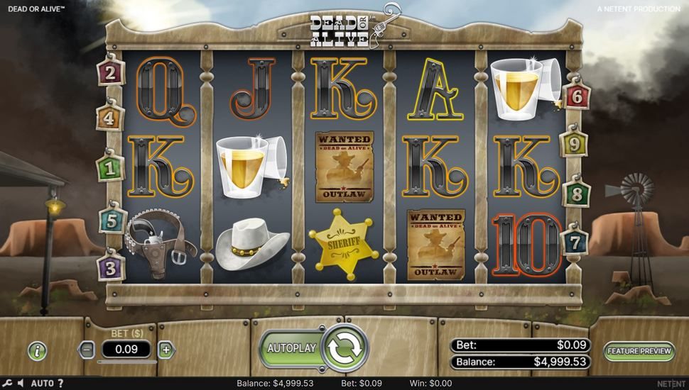 Dead or Alive slot gameplay