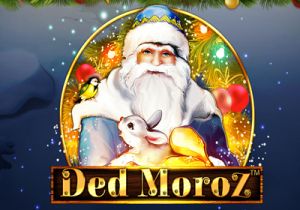 General information about Ded Moroz slot