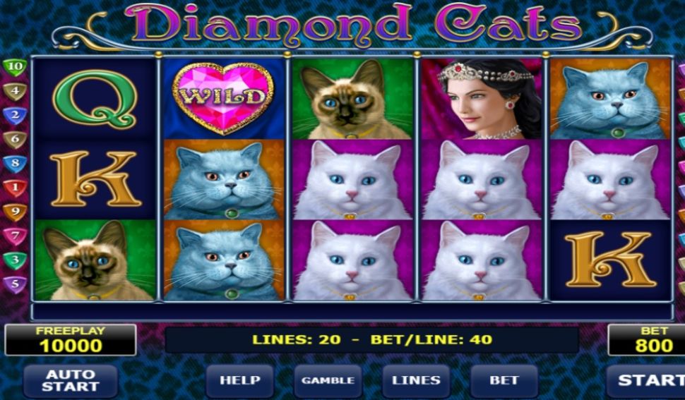 Diamond Cats