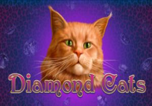 General information about Diamond Cats slot