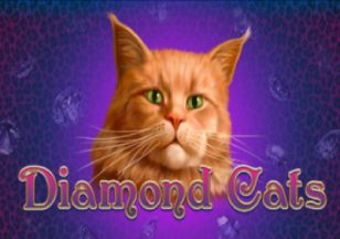 General information about Diamond Cats slot