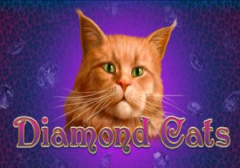 Diamond Cats logo