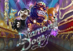 General information about Diamond Dogs slot