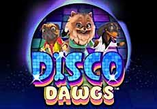 Disco Dawgs