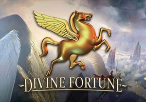 General information about Divine Fortune slot