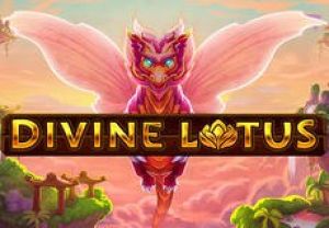 General information about Divine Lotus slot