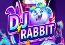 DJ Rabbit
