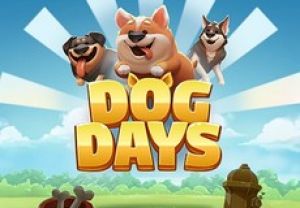 General information about Dog Days slot