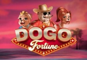 General information about Dogo Fortune slot