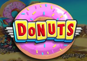 General information about Donuts slot